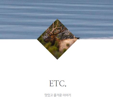 태상의 미니샵에서 집콕라이프를 더 즐겁게 만드는 팁